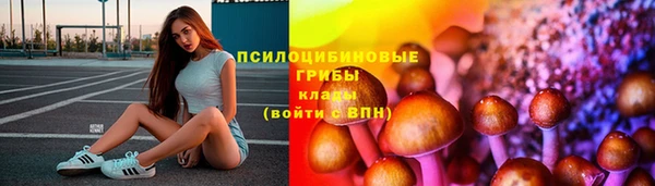 PSILOCYBIN Алексеевка