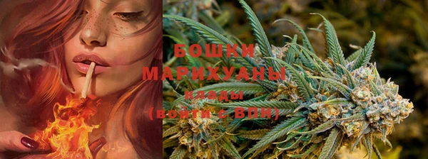 PSILOCYBIN Алексеевка